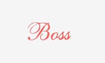 Boss Auto Trading